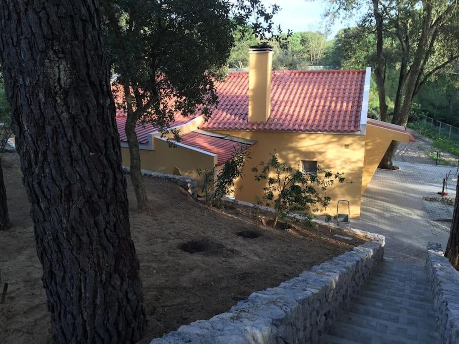 فيلا Casa De Ferias أزيتاوْ المظهر الخارجي الصورة